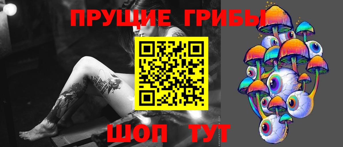 Дюртюли  Псилоцибиновые грибы прущие грибы  Вход с VPN 